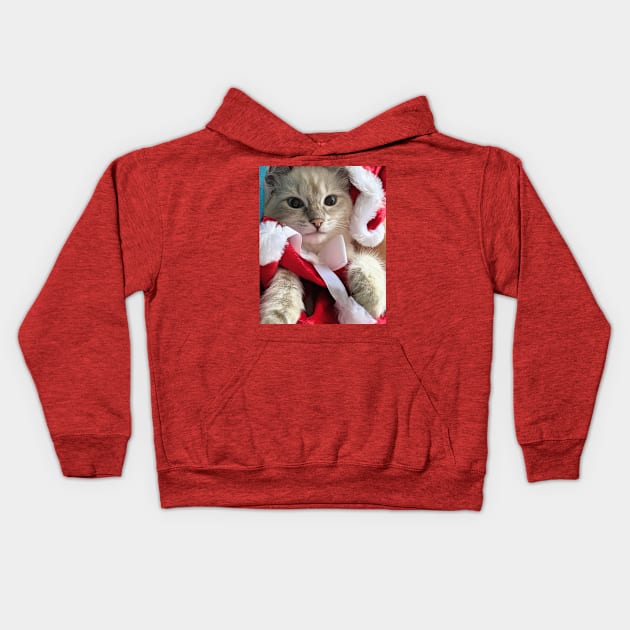 Saoirse ragdoll Santa baby Kids Hoodie by Fluffyragdollkittens